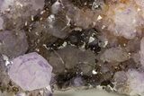 Sparkling Cactus Amethyst Crystal Cluster - South Africa #337110-7